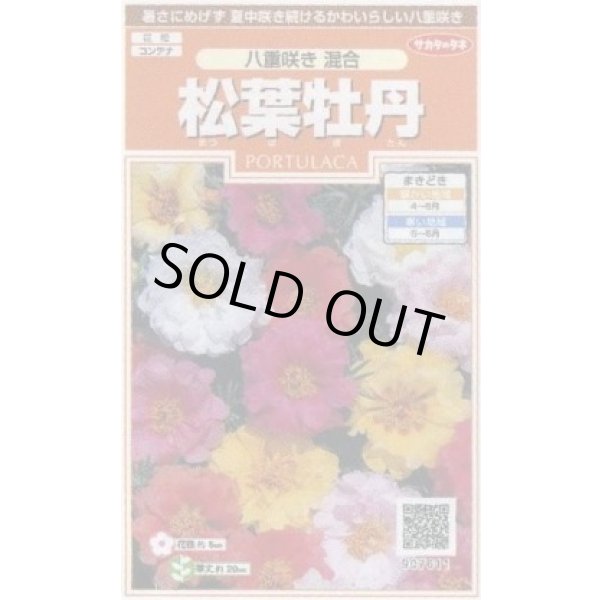 画像1: 送料無料　花の種　松葉牡丹　八重咲き混合　約215粒　(株)サカタのタネ　実咲200（026358） (1)