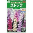 画像1: 花の種 　ストック　切り花用　早生系混合　約36粒　サカタのタネ（株）実咲250 (1)