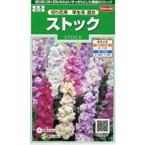 画像1: 花の種 　ストック　切り花用　早生系混合　約36粒　サカタのタネ（株）実咲250 (1)