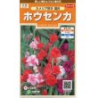 画像1: 花の種　ホウセンカ　カメリア咲き混合　約63粒　サカタのタネ（株）実咲200 (1)