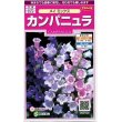 画像1: 花の種　カンパニュラ　メイミックス　約62粒　　サカタのタネ（株）実咲350 (1)