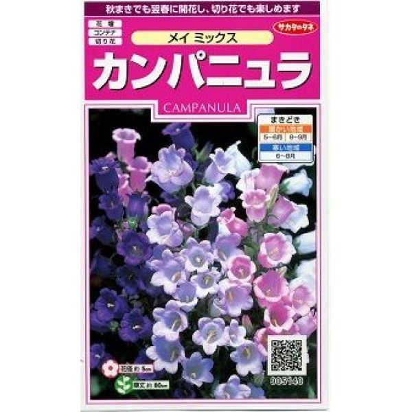 画像1: 花の種　カンパニュラ　メイミックス　約62粒　　サカタのタネ（株）実咲350 (1)