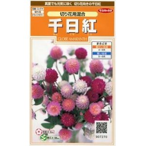 画像: 花の種　千日紅　切り花用混合　約45粒　サカタのタネ（株）実咲200