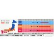 画像2: 送料無料　花の種　千日紅　切り花用混合　約45粒　(株)サカタのタネ　実咲200（026339） (2)
