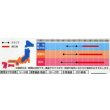 画像2: 花の種　千日紅　切り花用混合　約45粒　サカタのタネ（株）実咲200 (2)
