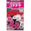 画像1: 花の種　ゴデチャ　ジューンミックス　0.1ml　サカタのタネ（株）実咲350 (1)