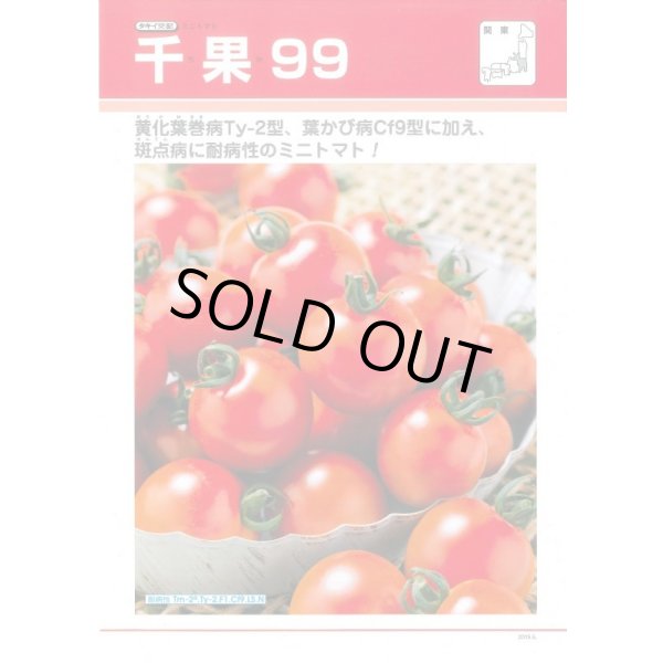 画像2: 送料無料　[トマト/ミニトマト]　千果99　12粒　タキイ種苗(株)　DF (2)