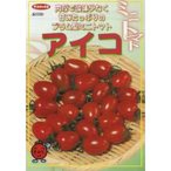 画像2: [トマト/ミニトマト]　送料無料！　アイコ　1000粒　サカタ交配　 (2)