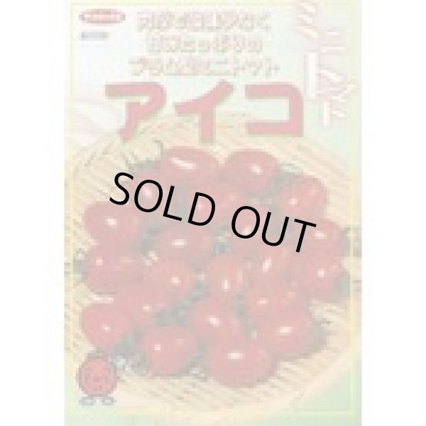 画像2: 送料無料　[トマト/ミニトマト]　アイコ　17粒　(株)サカタのタネ実咲550（002821） (2)