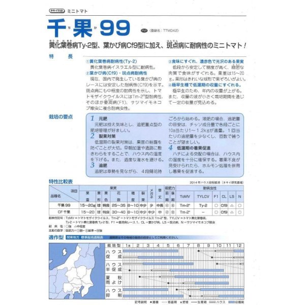 画像3: 送料無料　[トマト/ミニトマト]　千果99　12粒　タキイ種苗(株)　DF (3)