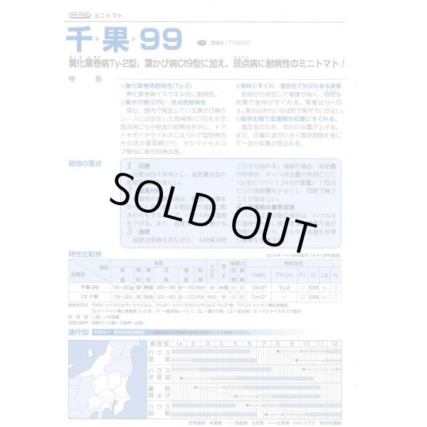 画像3: 送料無料　[トマト/ミニトマト]　千果99　1000粒　タキイ種苗(株) (3)