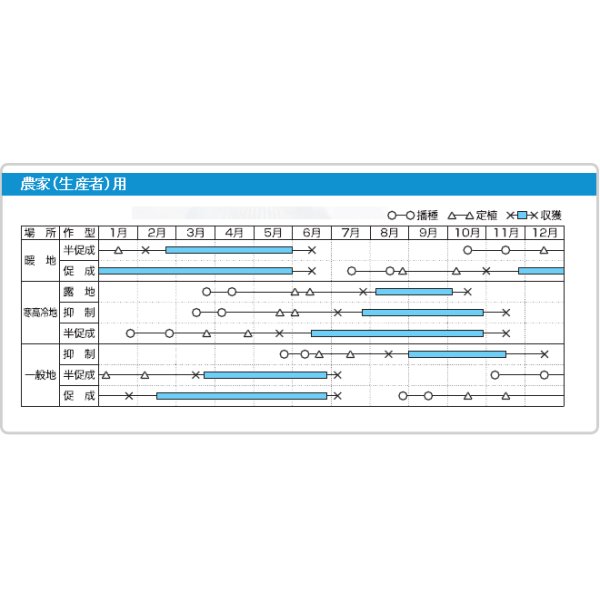 画像3: [トマト/マウロの地中海トマト]　プチポンロッソ　100粒 (3)