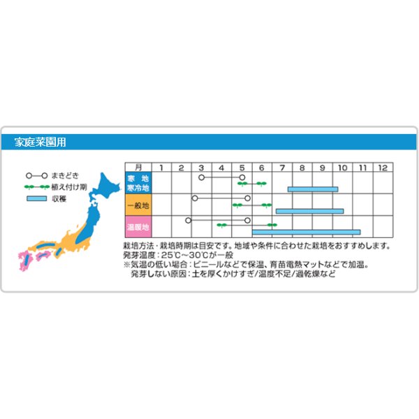 画像4: [トマト/マウロの地中海トマト]　プチポンロッソ　8粒 (4)