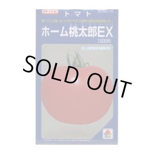 画像: 送料無料　[トマト/桃太郎系]　ホーム桃太郎ＥＸ　1000粒　タキイ種苗(株)