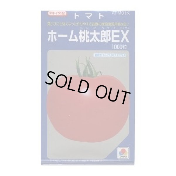 画像1: 送料無料　[トマト/桃太郎系]　ホーム桃太郎ＥＸ　1000粒　タキイ種苗(株) (1)