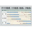 画像2: [トマト/桃太郎系]　ハウス桃太郎　45粒　タキイ種苗（株）DF (2)