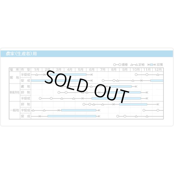 画像8: 送料無料　[ミニトマト]　トスカーナバイオレット　100粒　サナテックシード（株） (8)