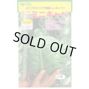 画像: 送料無料　[キャベツ]　ミニキャベ　20ml　トキタ種苗(株)