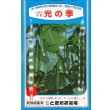 画像1: [キュウリ]　光の季　350粒　ときわ研究場 (1)