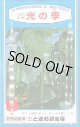 画像: [キュウリ]　光の季　350粒　ときわ研究場