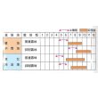 画像2: [キュウリ]　光の季　350粒　ときわ研究場 (2)