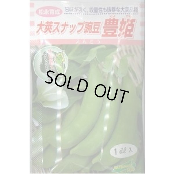 画像1: [豆類] 大莢豌豆 豊姫 20ml 松永種苗(株) (1)