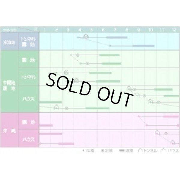 画像3: 送料無料　[いんげん]　鴨川グリーン　30ml　ヴィルモランみかど（株） (3)