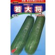 画像1: 送料無料　[瓜類]　青はぐらうり　若大将　100粒　渡辺農事（株） (1)