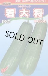 画像: 送料無料　[瓜類]　青はぐらうり　若大将　100粒　渡辺農事（株）