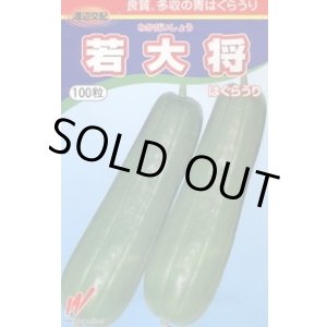 画像: 送料無料　[瓜類]　青はぐらうり　若大将　100粒　渡辺農事（株）