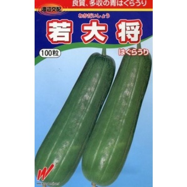画像1: 送料無料　[瓜類]　青はぐらうり　若大将　100粒　渡辺農事（株） (1)