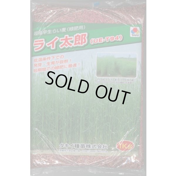 画像1: [緑肥] ライ麦 ライ太郎 1kg タキイ種苗(株) (1)