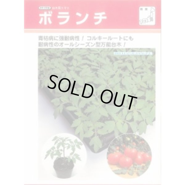 画像2: 送料無料 [台木/トマト用] ボランチ ペレット 2L 1000粒 タキイ種苗(株) (2)
