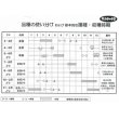 画像3: [ねぎ]　夏扇4号　約400粒　　（株）サカタのタネ　　実咲 (3)