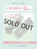 画像: [台木/キュウリ用] ゆうゆう一輝(黒種) 20粒 （株）埼玉原種育成会