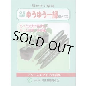 画像: [台木/キュウリ用] ゆうゆう一輝(黒種) 20粒 （株）埼玉原種育成会
