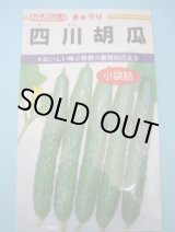 画像: 送料無料　[キュウリ]　四川胡瓜　12粒　カネコ種苗（株）