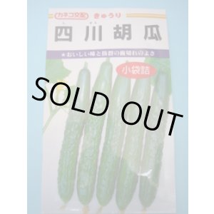 画像: 送料無料　[キュウリ]　四川胡瓜　12粒　カネコ種苗（株）