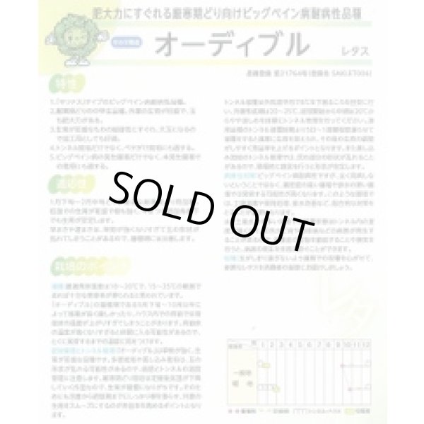画像3: [レタス] オーディブル ペレット種子 5000粒 （株）サカタのタネ (3)