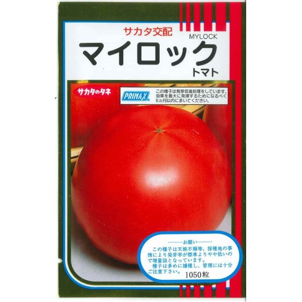 画像1: [トマト]　送料無料！　マイロック　1000粒　サカタのタネ（株） (1)