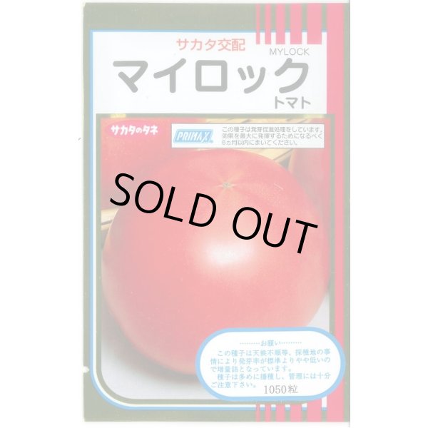 画像1: 送料無料 [トマト] マイロック 1000粒 (株)サカタのタネ (1)