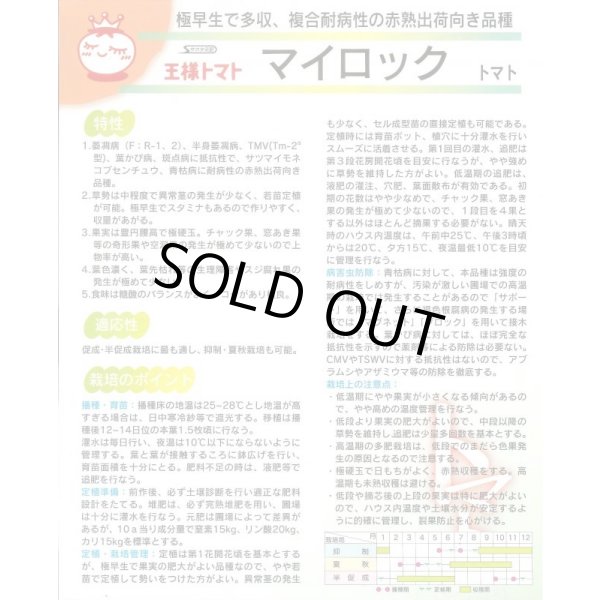 画像2: 送料無料 [トマト] マイロック 1000粒 (株)サカタのタネ (2)