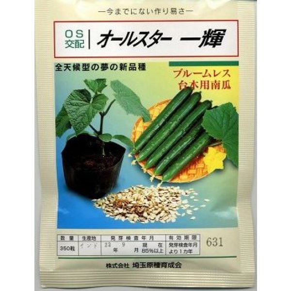 画像1: 送料無料　[台木/キュウリ用]　オールスター一輝　350粒　埼玉原種育成会 (1)