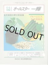 画像: [台木/キュウリ用] オールスター一輝 20粒 （株）埼玉原種育成会