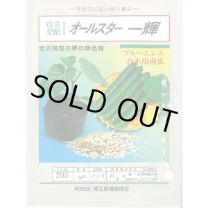 画像: [台木/キュウリ用] オールスター一輝 20粒 （株）埼玉原種育成会