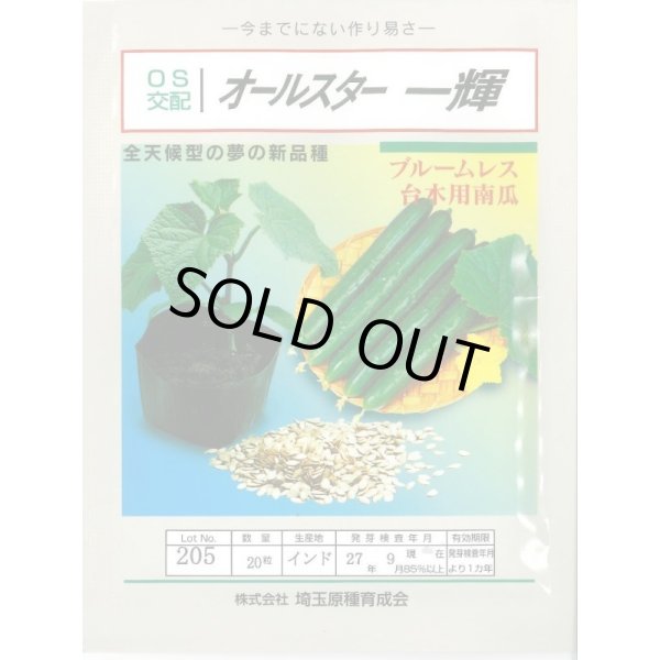 画像1: [台木/キュウリ用] オールスター一輝 20粒 （株）埼玉原種育成会 (1)