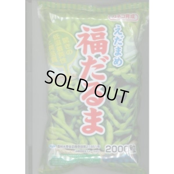 画像1: [枝豆]　福だるま　2000粒　カネコ種苗（株） (1)