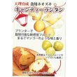 画像3: 送料無料　ホオズキ　キャンディーランタン　コート1000粒　大和農園 (3)