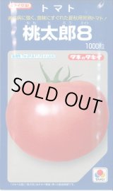 画像: 送料無料　[トマト/桃太郎系]　桃太郎8　1000粒　貴種(コートしてません)　タキイ種苗(株)