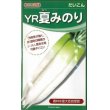 画像1: [大根]　ＹＲ夏みのり　3Lコート5000粒　カネコ交配 (1)